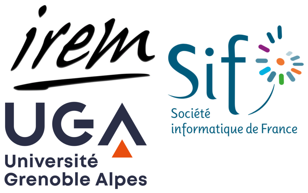 Nouvelle revue de didactique de l’informatique : Radix, numéro 2