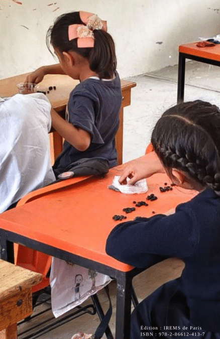 Diversité langagière pour la classe de mathématiques